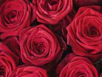 德雷克科技（成都）有限公司