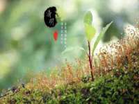 德雷克科技（成都）有限公司