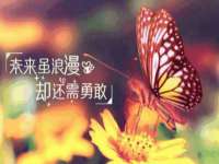 德雷克科技（成都）有限公司