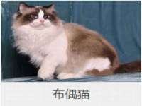 德雷克科技（成都）有限公司