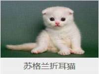 德雷克科技（成都）有限公司