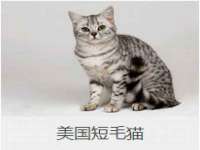 德雷克科技（成都）有限公司