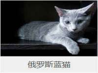 德雷克科技（成都）有限公司