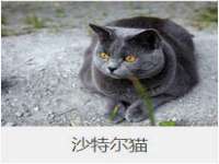 德雷克科技（成都）有限公司