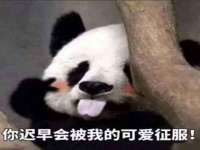 德雷克科技（成都）有限公司