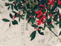 德雷克科技（成都）有限公司