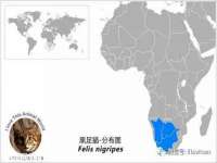 德雷克科技（成都）有限公司