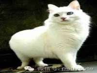 德雷克科技（成都）有限公司