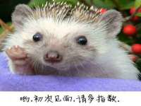 德雷克科技（成都）有限公司