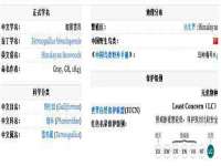 德雷克科技（成都）有限公司
