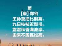 德雷克科技（成都）有限公司