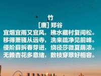 德雷克科技（成都）有限公司