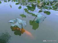 德雷克科技（成都）有限公司