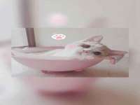 德雷克科技（成都）有限公司