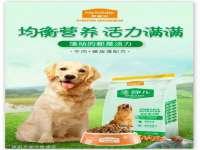 德雷克科技（成都）有限公司