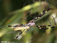 德雷克科技（成都）有限公司