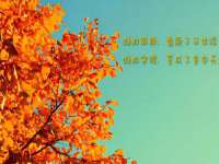 德雷克科技（成都）有限公司