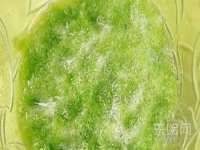 德雷克科技（成都）有限公司
