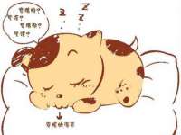 德雷克科技（成都）有限公司