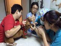 德雷克科技（成都）有限公司