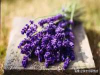 德雷克科技（成都）有限公司