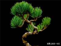 德雷克科技（成都）有限公司
